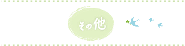 その他