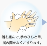指を組んで、手のひらと甲、指の間をよくこすります。