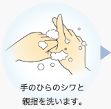 手のひらのシワと親指を洗います。