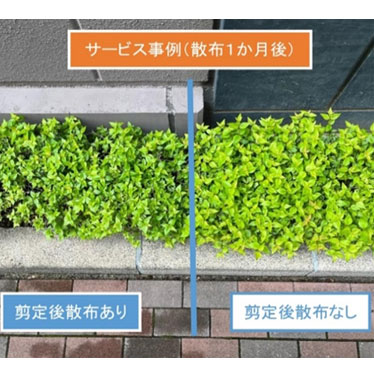 枝伸び抑制サービスの画像