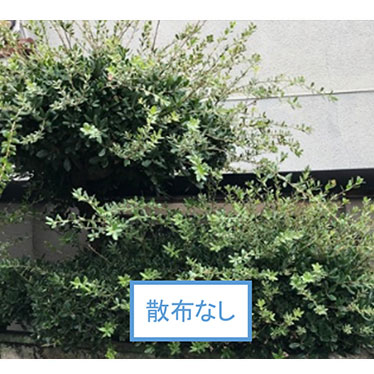 枝伸び抑制サービス