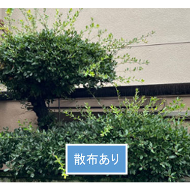 枝伸び抑制サービス