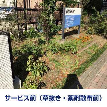 サービス前（草抜き・薬剤散布前）