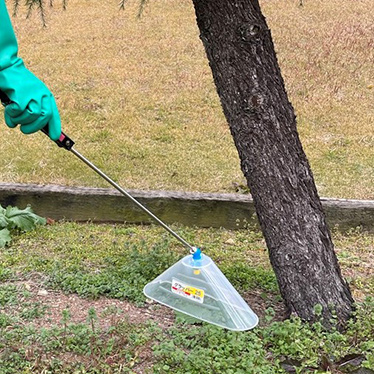 雑草が目立たないサービス
