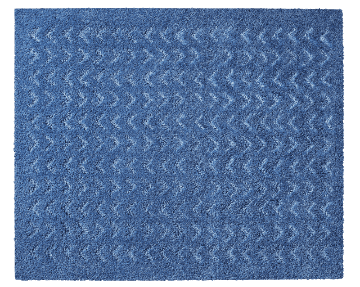 CM-009