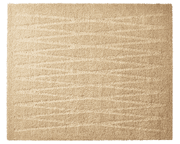 CS-006